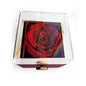 With all My Love-Jewelry-White Gold Finish-Standard Box-8-Chic Pop