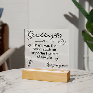 Granddaughter gift-Jewelry-Acrylic Square with LED Base-4-Chic Pop